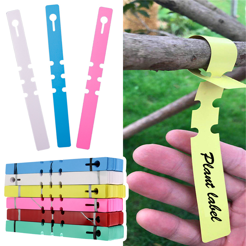 50pcs Waterproof Plant Markers - Gardening Tools Labeled review and price