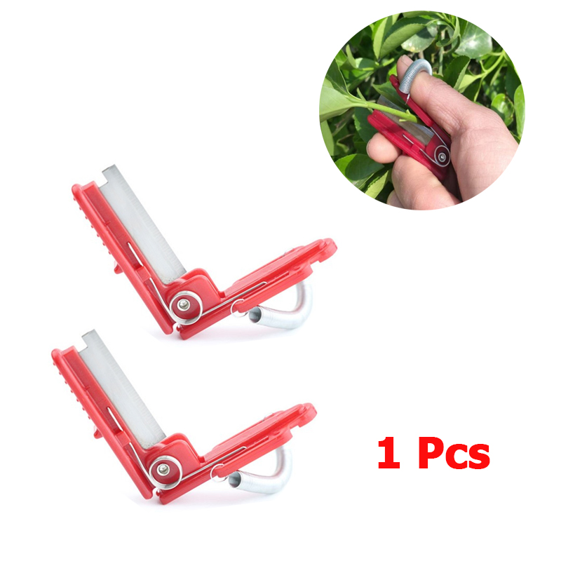 Vegetable Thump Knife Separato - Harvest Knife Garden review and price