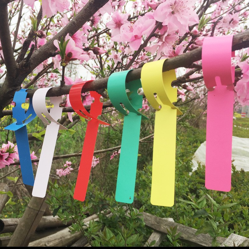50-100pcs Garden Plant Labels  - Gardening Tools Labeled review and price