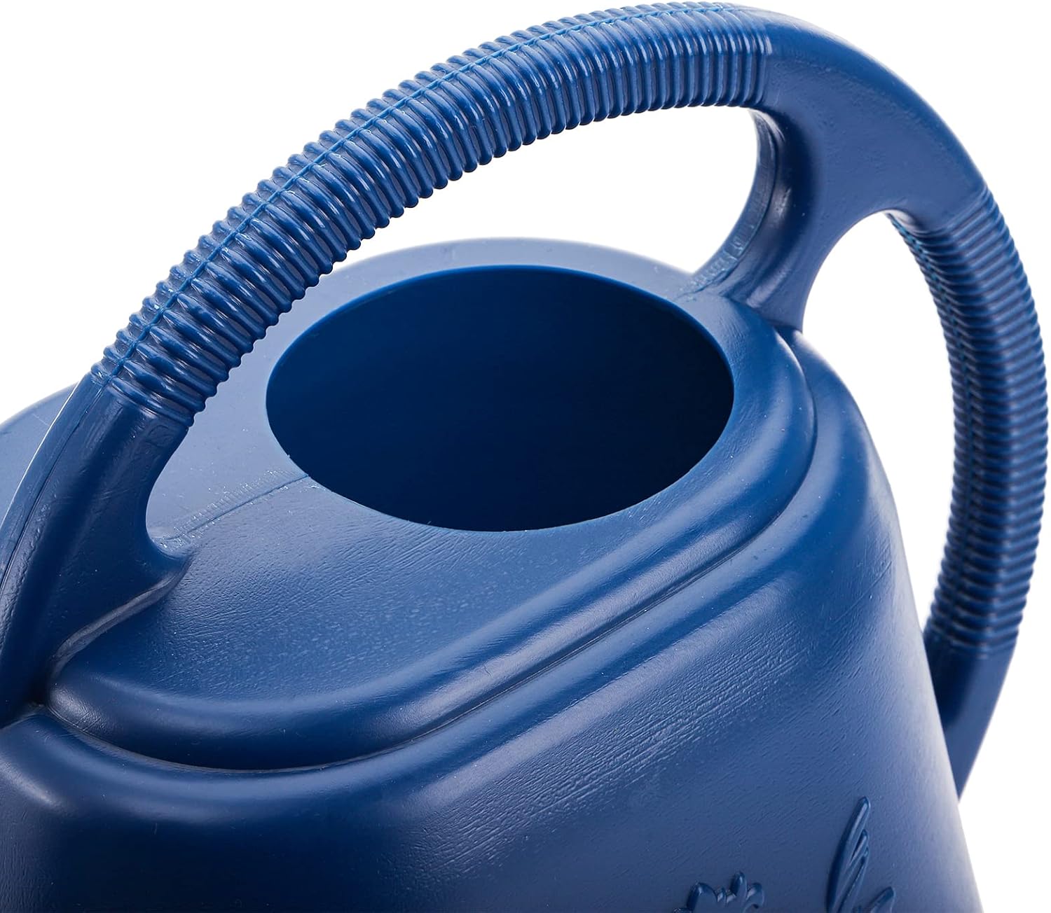 1-Gallon Plastic Watering Can  - Watering Can Long Spout review and price