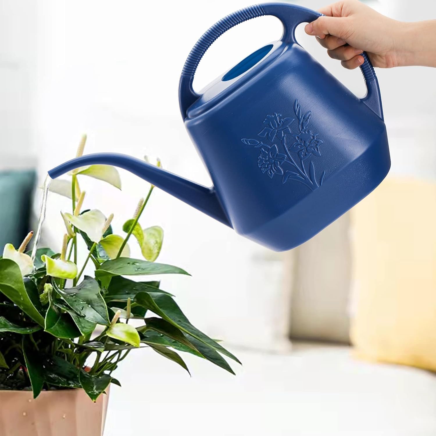 1-Gallon Plastic Watering Can  - Watering Can Long Spout review and price