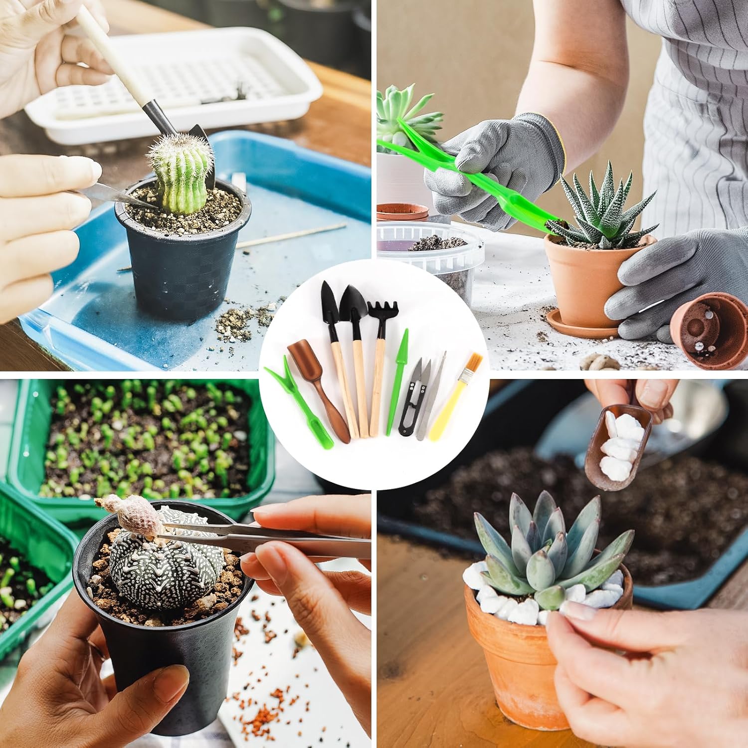 Garden Tool Set, Including 9 S - Gardening Tools Labeled review and price