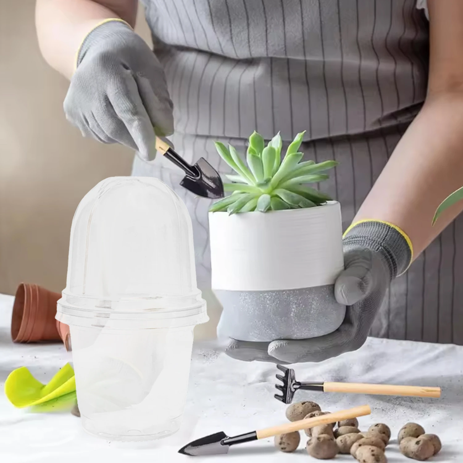 Pastic Seed Stater Cup with Co - Propagation Tray Dome review and price
