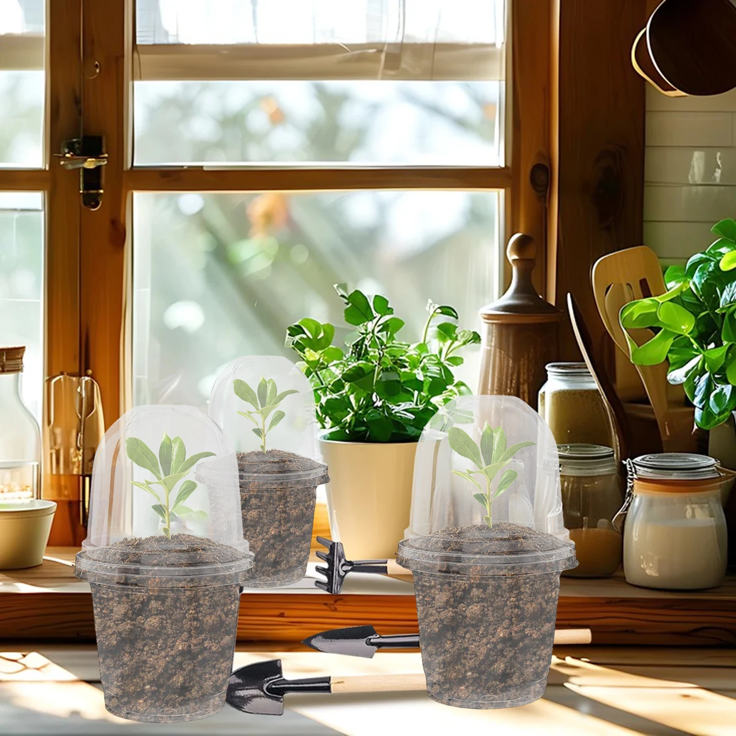 Pastic Seed Stater Cup with Co - Propagation Tray Dome review and price