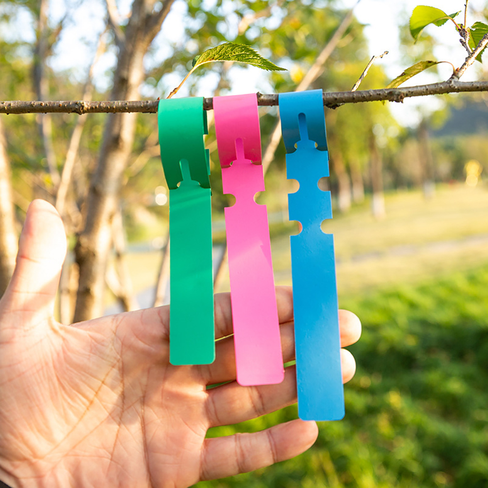 100pcs PVC Waterproof Plant Ma - Gardening Tools Labeled review and price