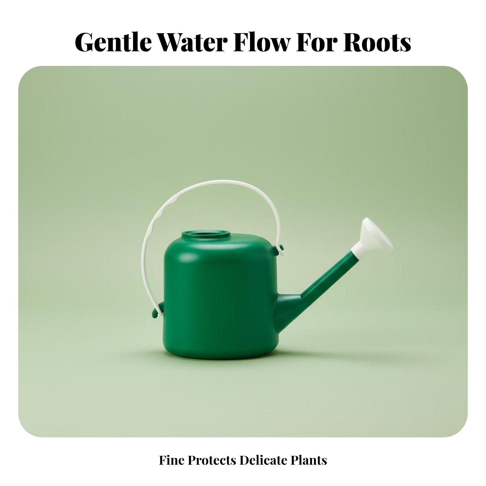 Long Spout Watering Can Large  - Watering Can Long Spout review and price