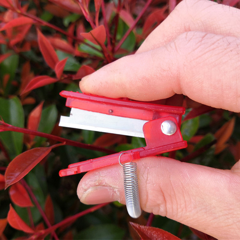 1/2/3pcs Vegetable Thump Knife - Harvest Knife Garden review and price
