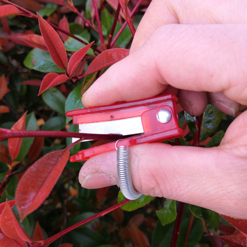 1/2/3pcs Vegetable Thump Knife - Harvest Knife Garden review and price
