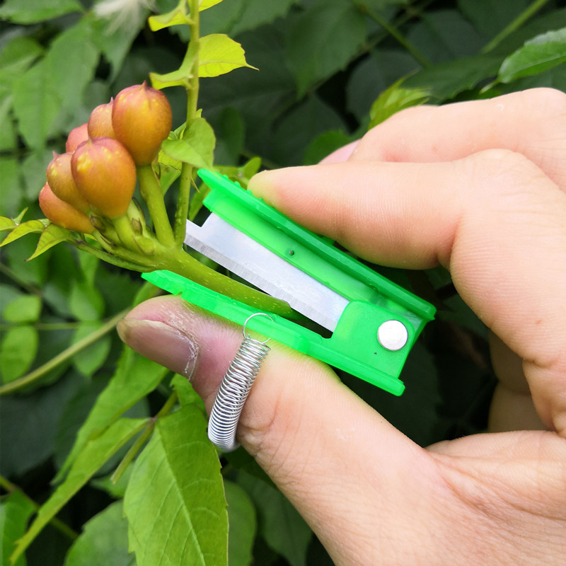 1/2/3pcs Vegetable Thump Knife - Harvest Knife Garden review and price
