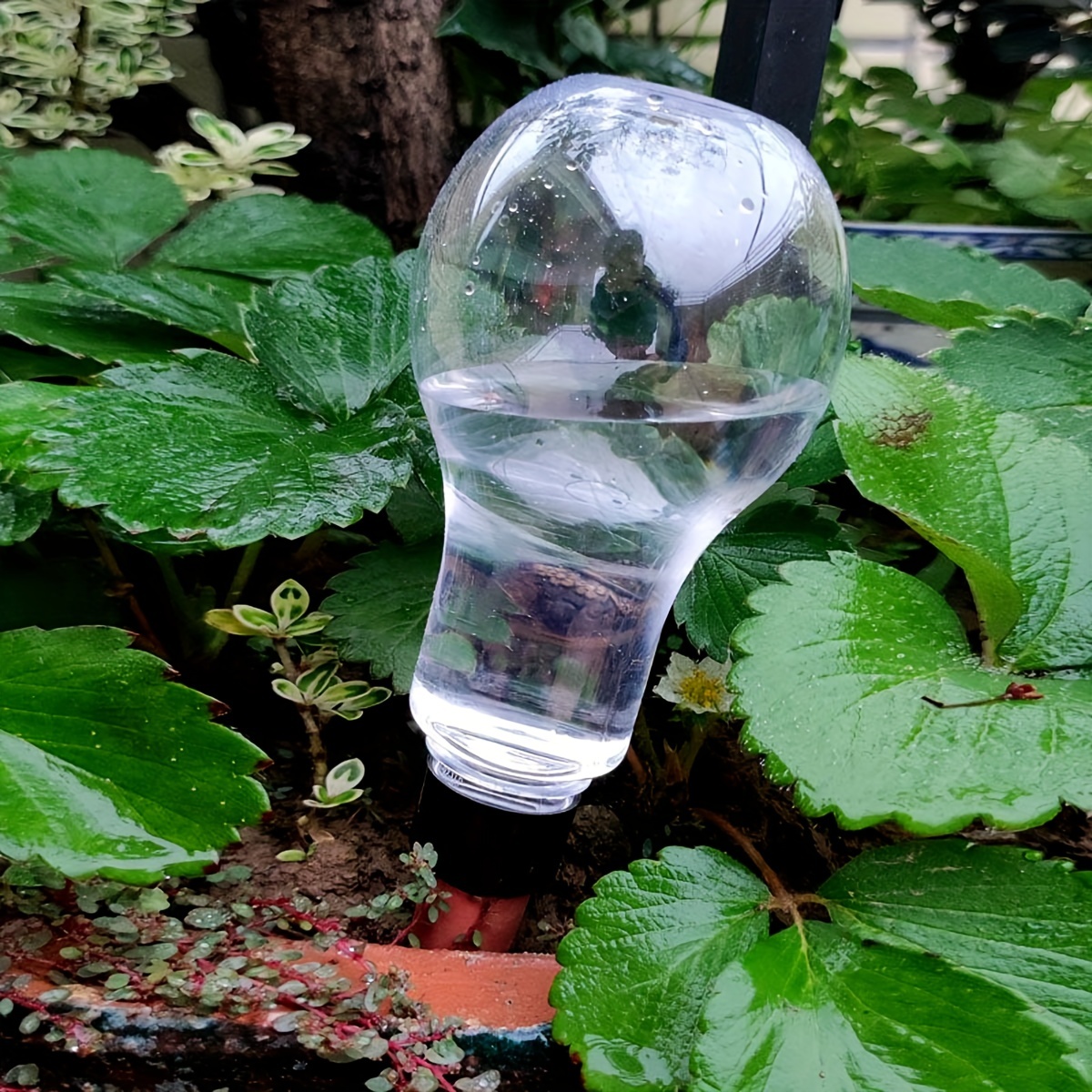 Garden Automatic Watering Tool - Gardening Tools For Home review and price