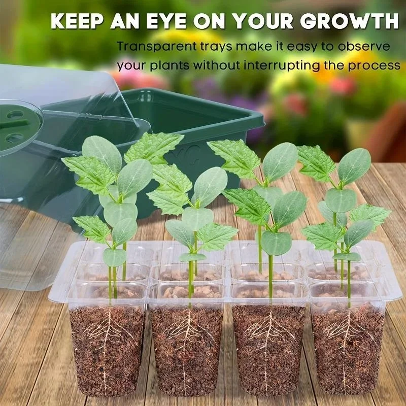 12Grids Seedling Trays Seed St - Propagation Tray Dome review and price