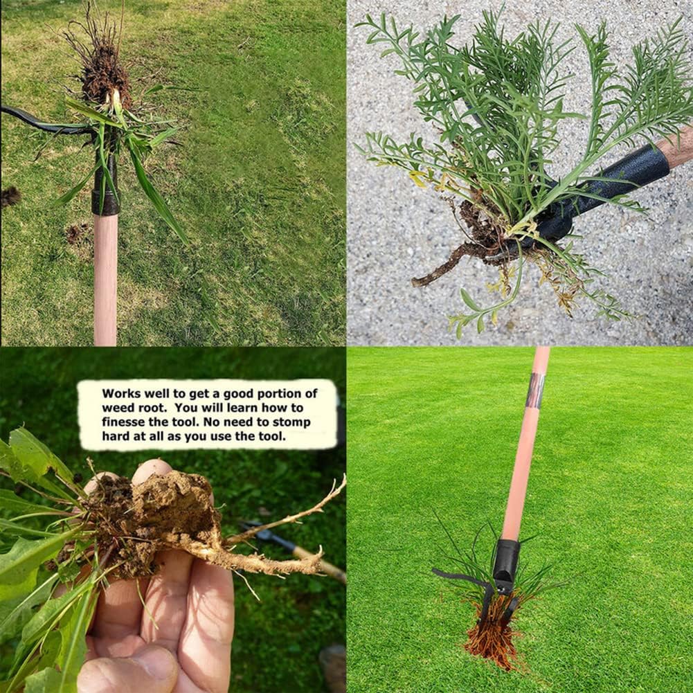 Stand Up Weed Puller Tool Deta - Weed Puller review and price