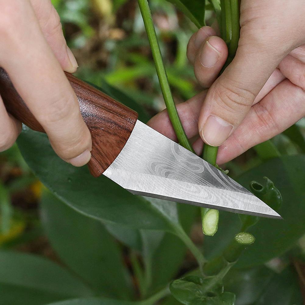 Grafting Knife Grafting Tools  - Harvest Knife Garden review and price