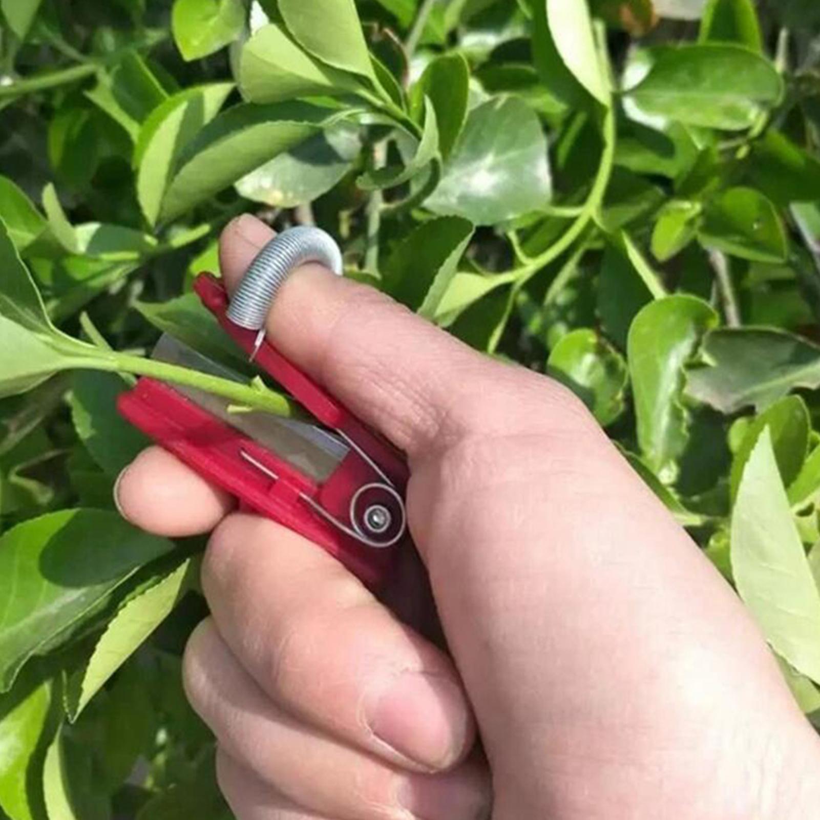 Red Vegetable Fruit Harvesting - Harvest Knife Garden review and price
