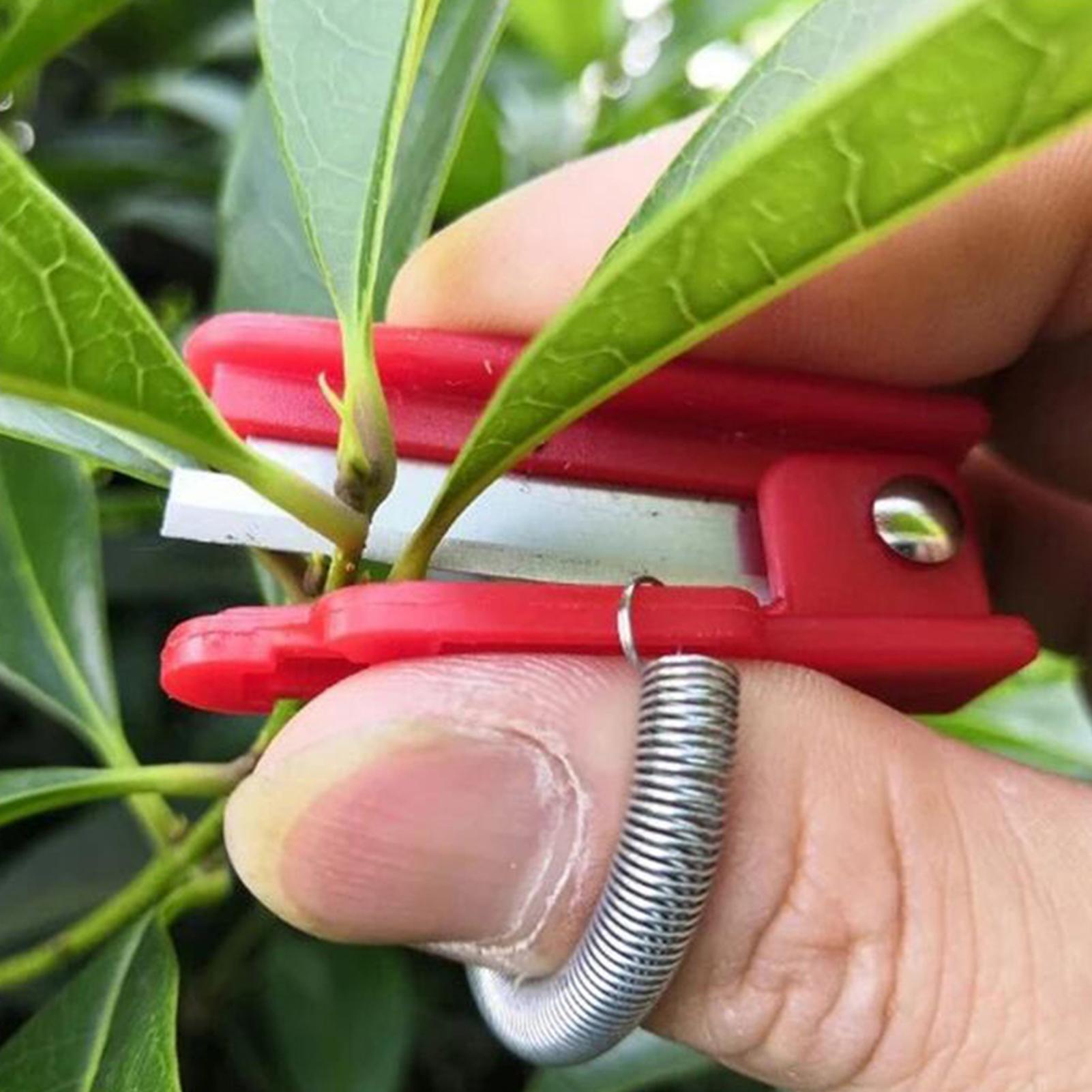 Red Vegetable Fruit Harvesting - Harvest Knife Garden review and price
