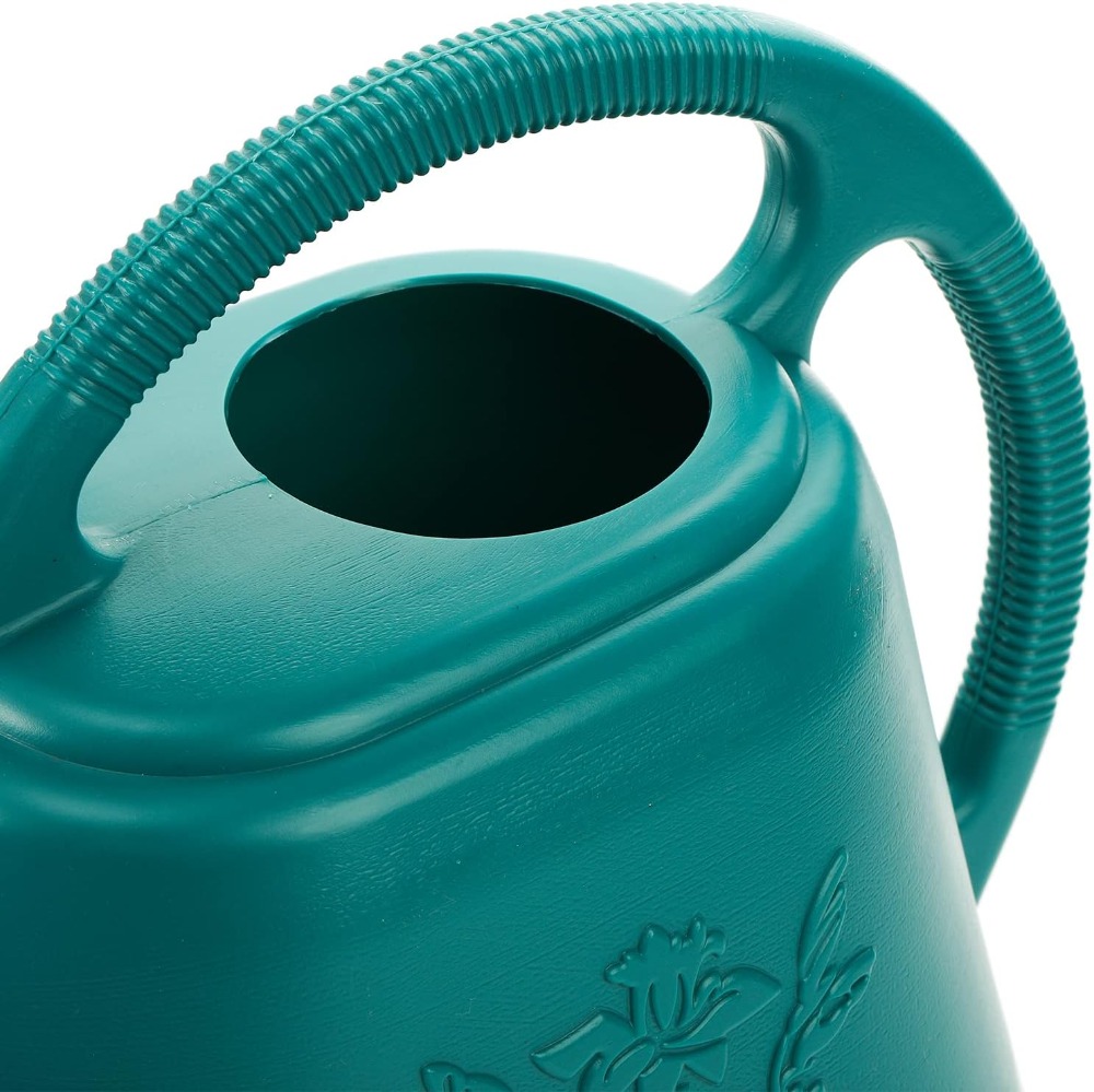 1-Gallon Plastic Watering Can  - Watering Can Long Spout review and price