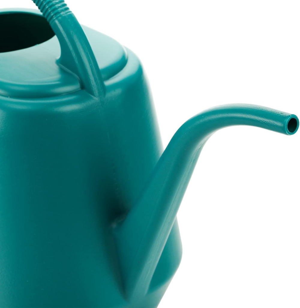 1-Gallon Plastic Watering Can  - Watering Can Long Spout review and price