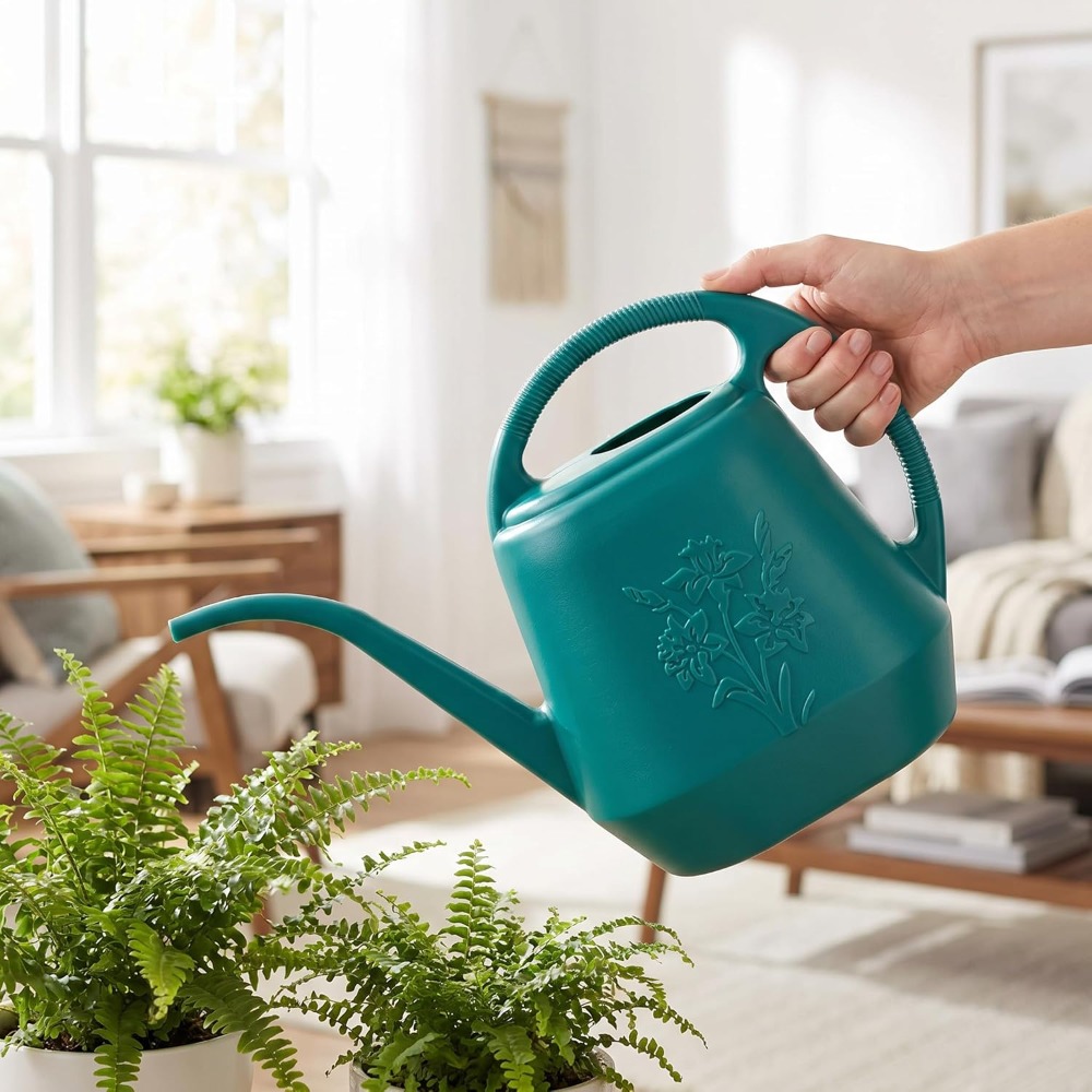 1-Gallon Plastic Watering Can  - Watering Can Long Spout review and price