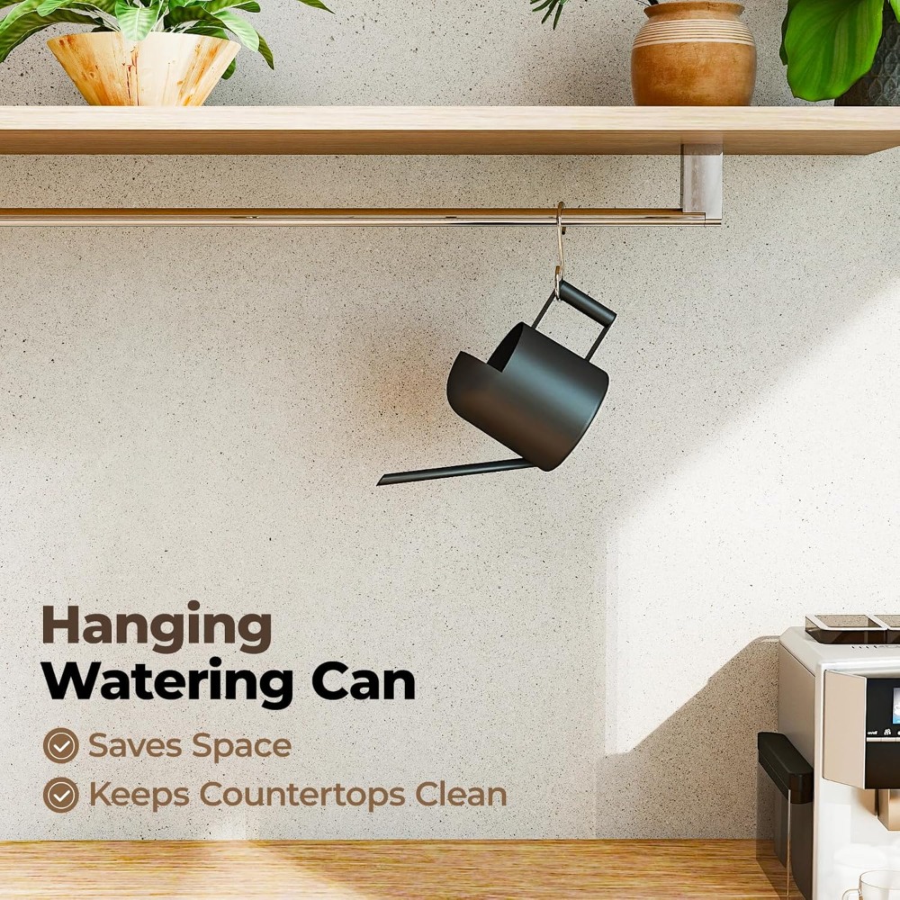 Small Watering Can 10OZ Stainl - Watering Can Long Spout review and price