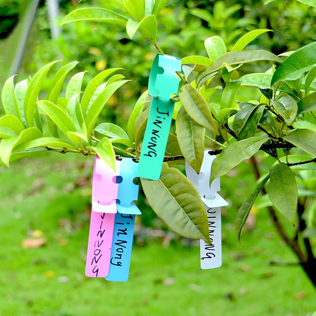 100pcs Waterproof Plant Marker - Gardening Tools Labeled review and price