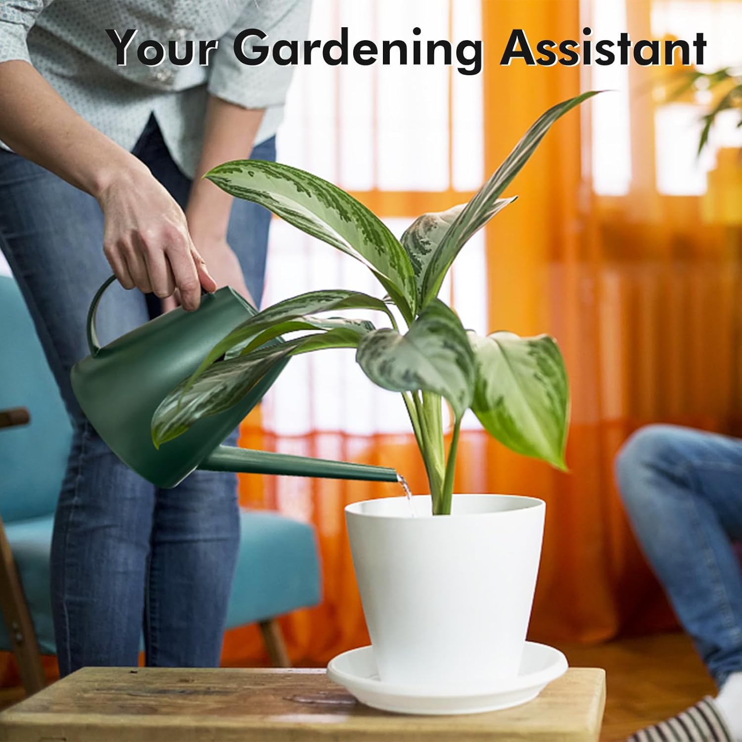 Watering Can for Indoor Outdoo - Watering Can Long Spout review and price