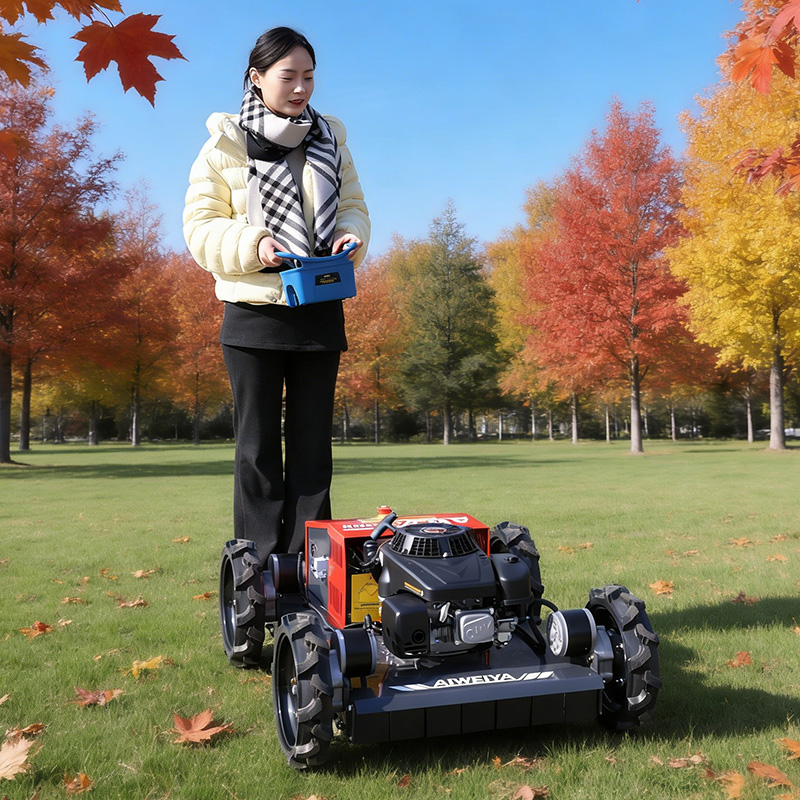 Customized lawn mowers for sal - Gardening Tools Kit For Sale review and price