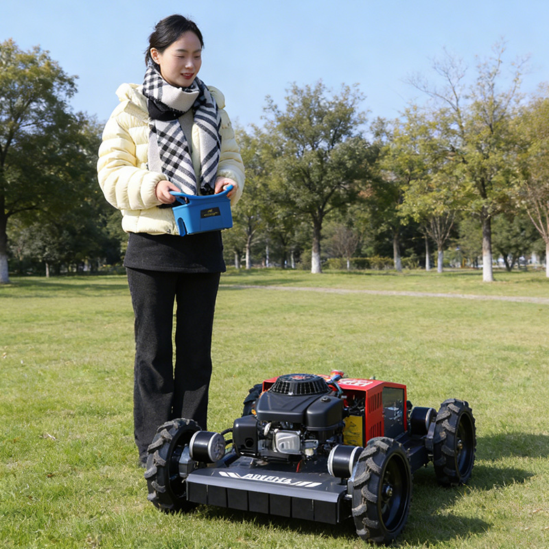 Customized lawn mowers for sal - Gardening Tools Kit For Sale review and price