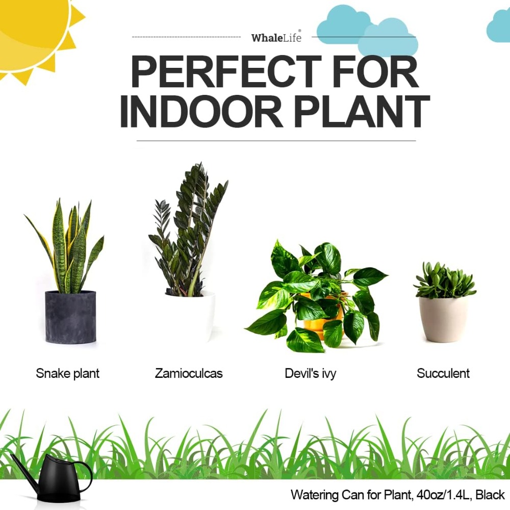 Small Indoor Watering Can for  - Watering Can Long Spout review and price