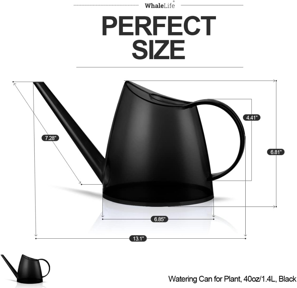 Small Indoor Watering Can for  - Watering Can Long Spout review and price