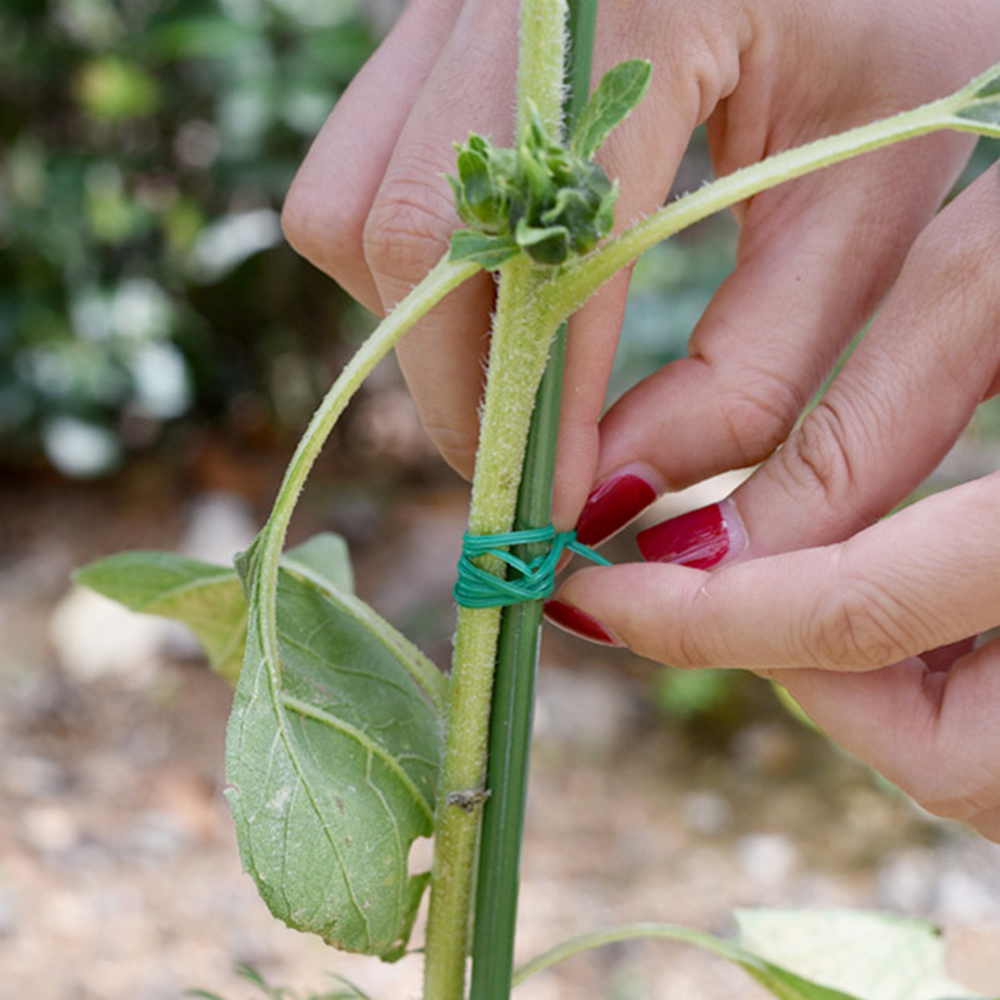 Multifunctional Garden Twist T - Garden Wire Twist Tie review and price