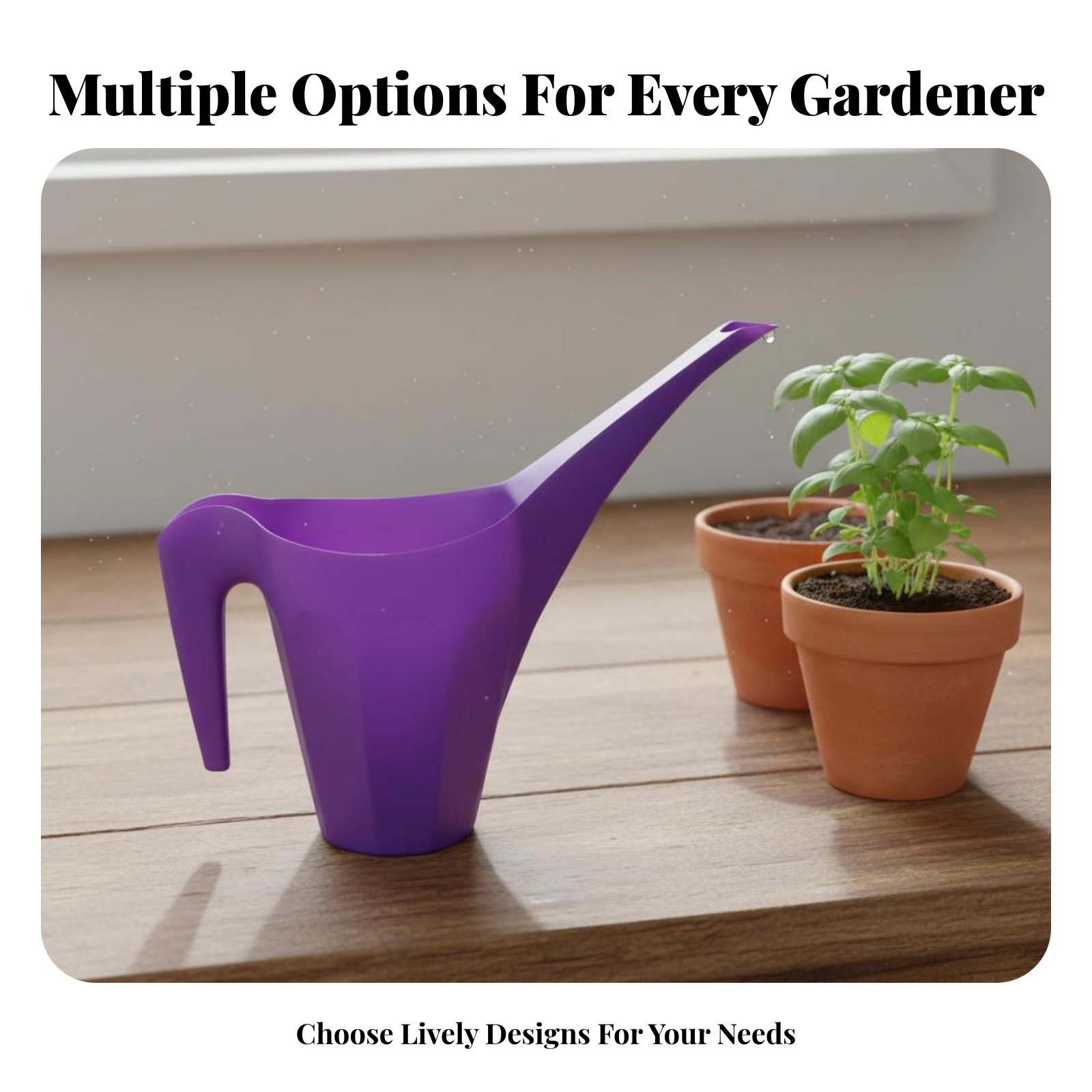 Plastic Watering Can with Spri - Watering Can Long Spout review and price