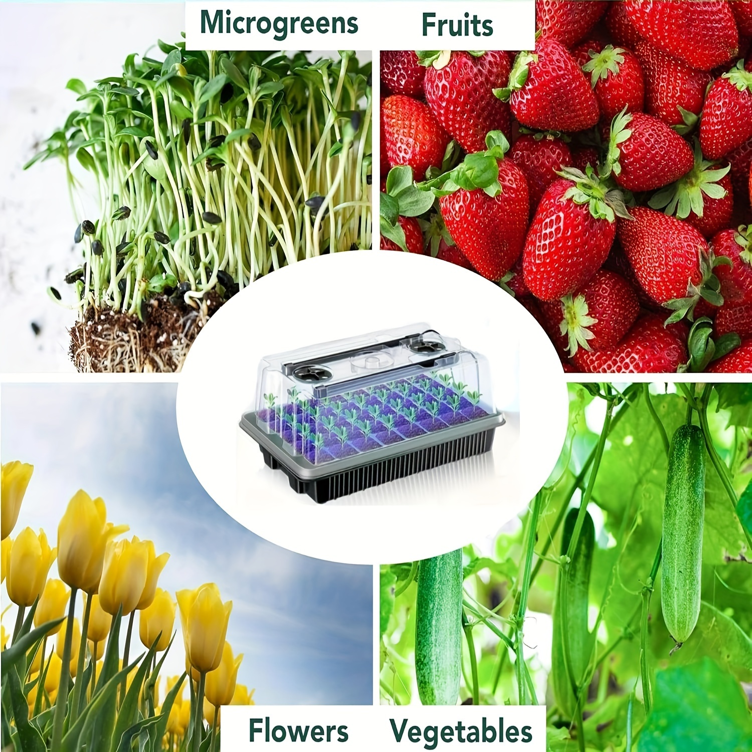40/Cell Seed Starter Kit with  - Propagation Tray Dome review and price