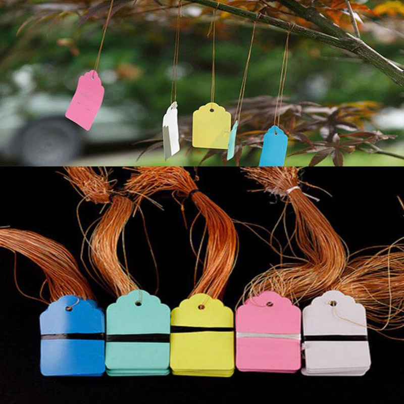 100pcs PVC Plant Tags Labels F - Gardening Tools Labeled review and price