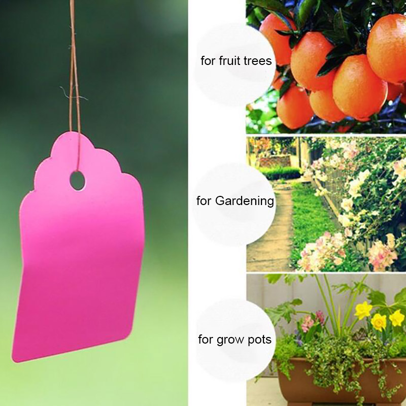 100pcs PVC Plant Tags Labels F - Gardening Tools Labeled review and price