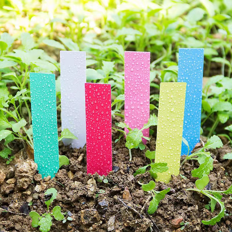 100Pcs Garden Plant Labels Pla - Gardening Tools Labeled review and price