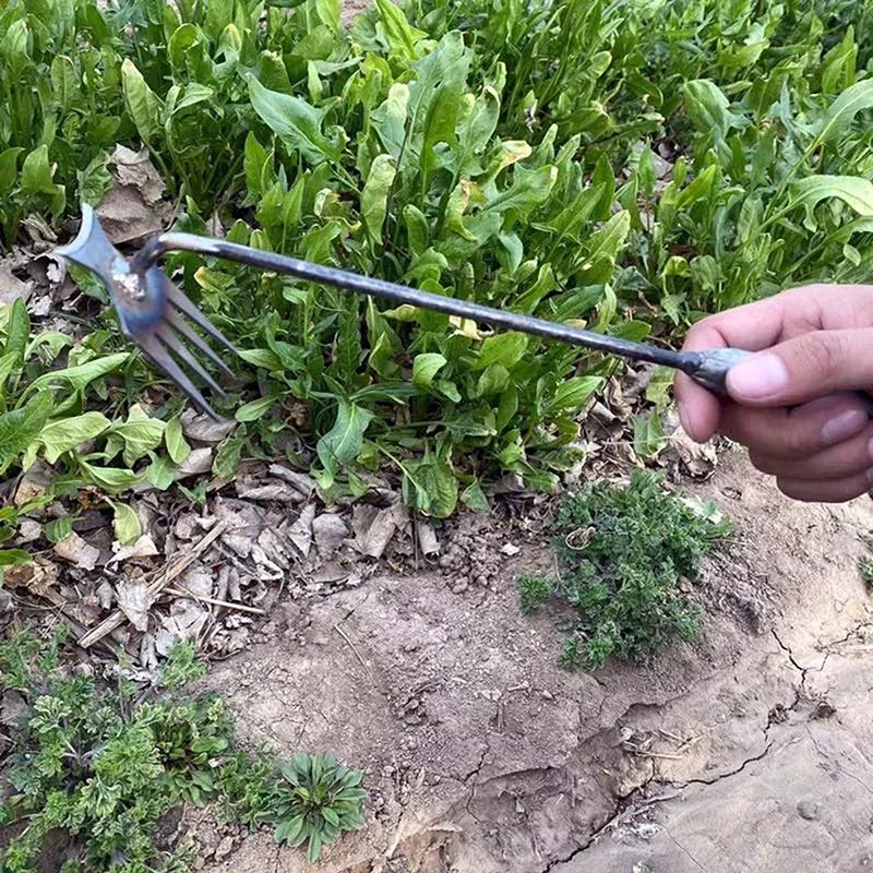Garden Weeders Grass Hand Weed - Weed Puller review and price