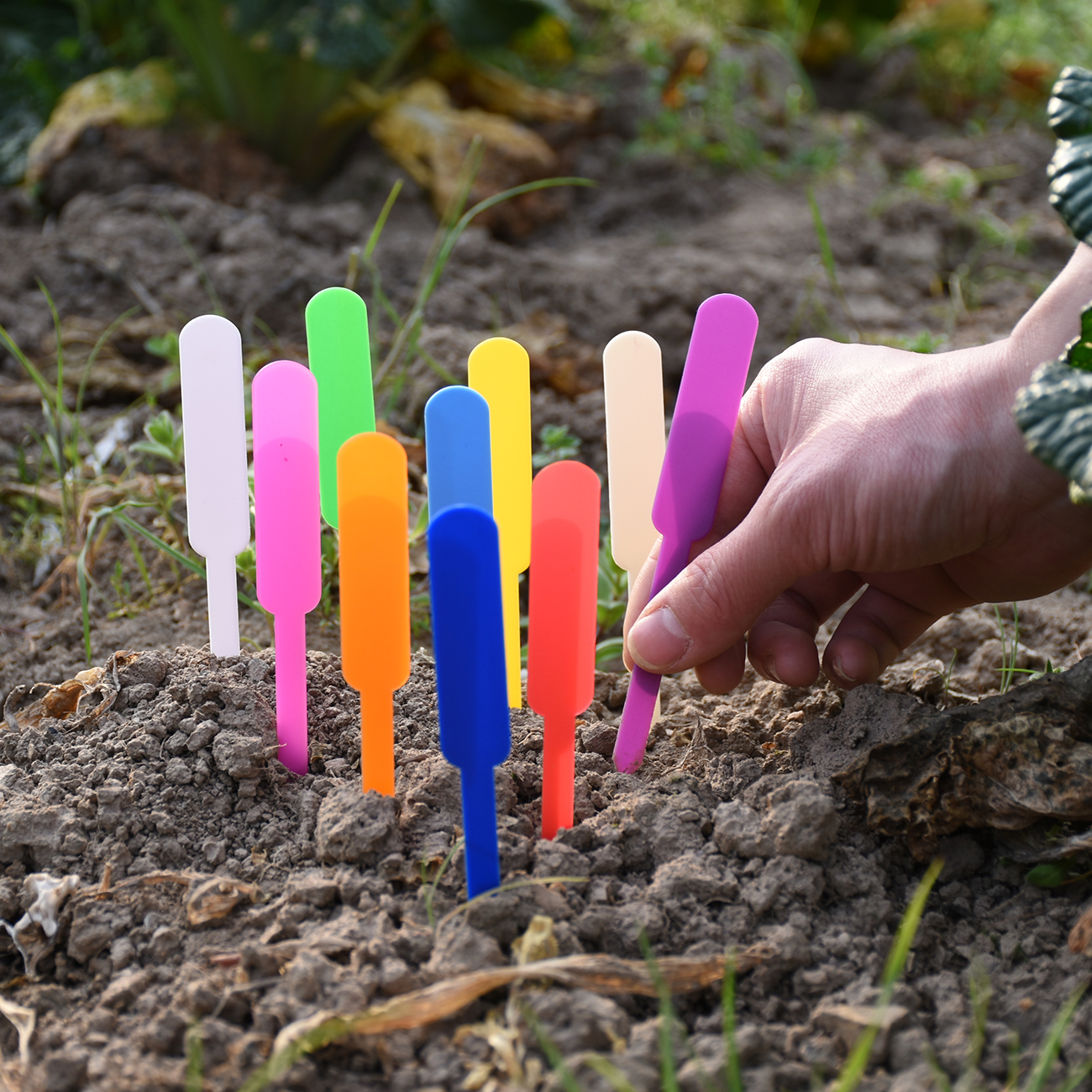 50PCS Waterproof Plastic Plant - Gardening Tools Labeled review and price