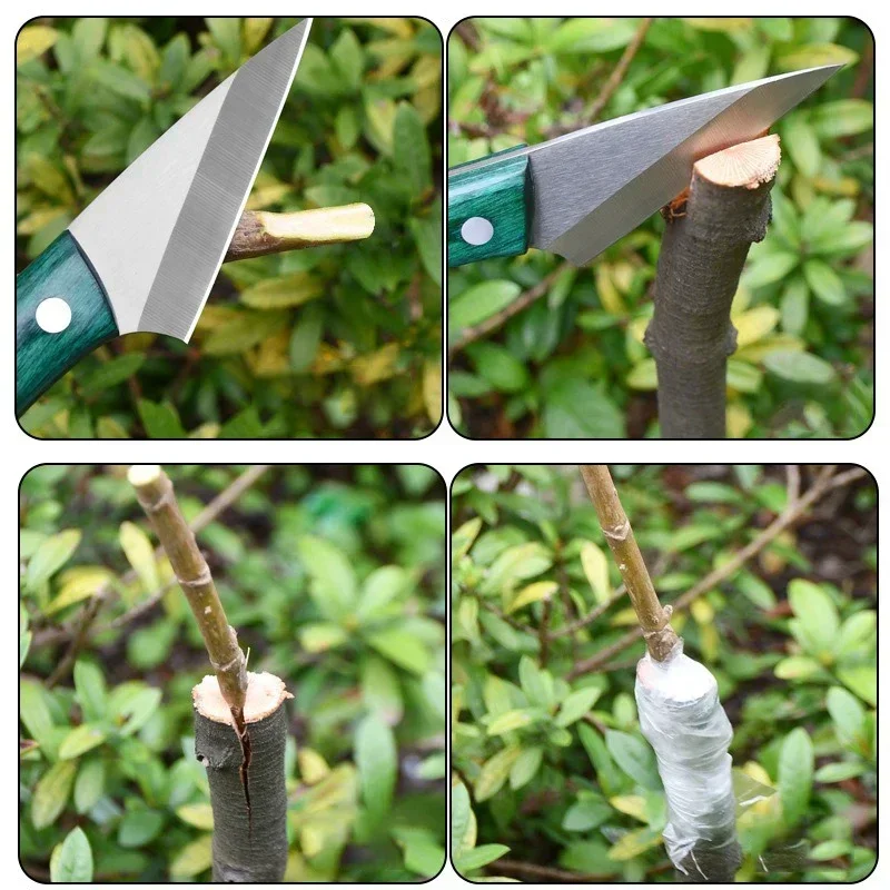 Stainless Steel Grafting Knife - Harvest Knife Garden review and price