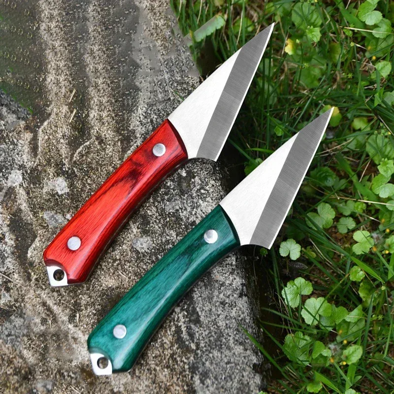 Stainless Steel Grafting Knife - Harvest Knife Garden review and price