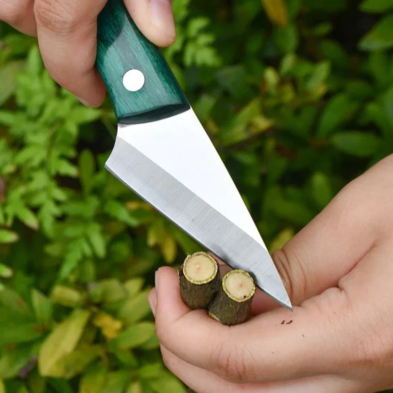 Stainless Steel Grafting Knife - Harvest Knife Garden review and price
