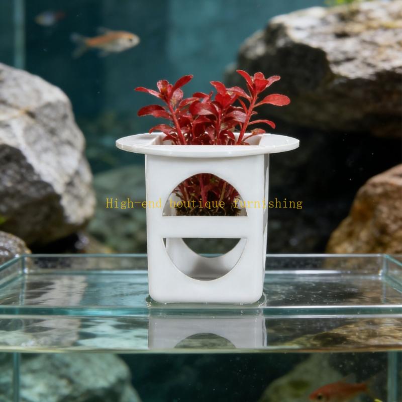 L9NB 12lots Professional Seedl - Propagation Tray Dome review and price