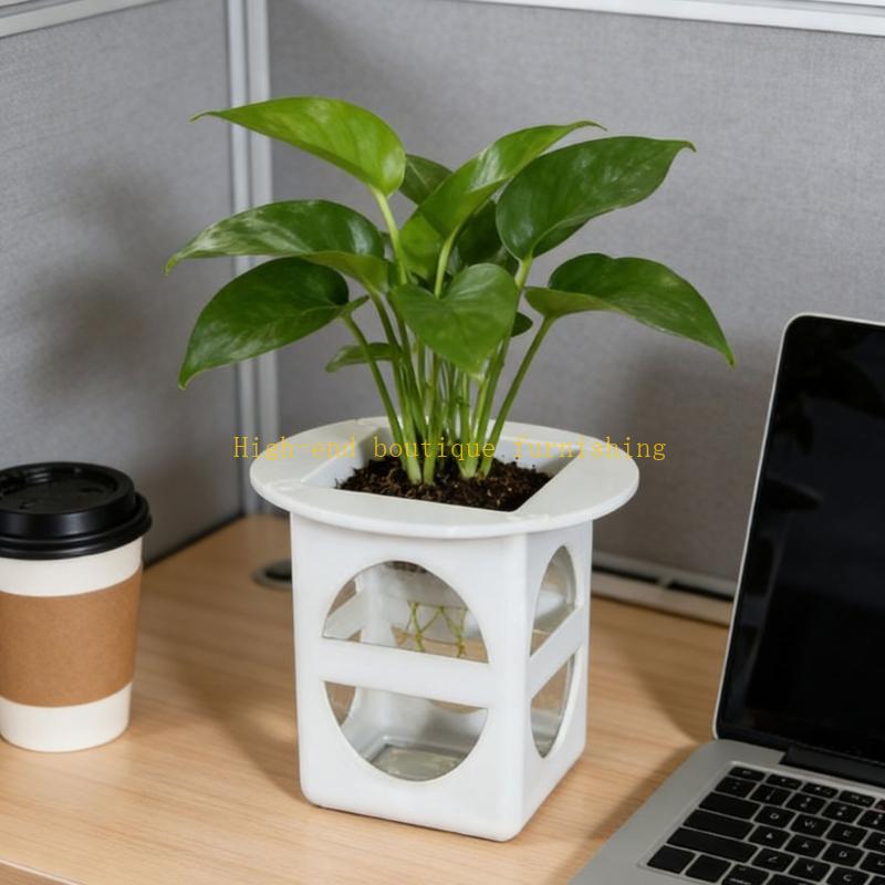 L9NB 12lots Professional Seedl - Propagation Tray Dome review and price