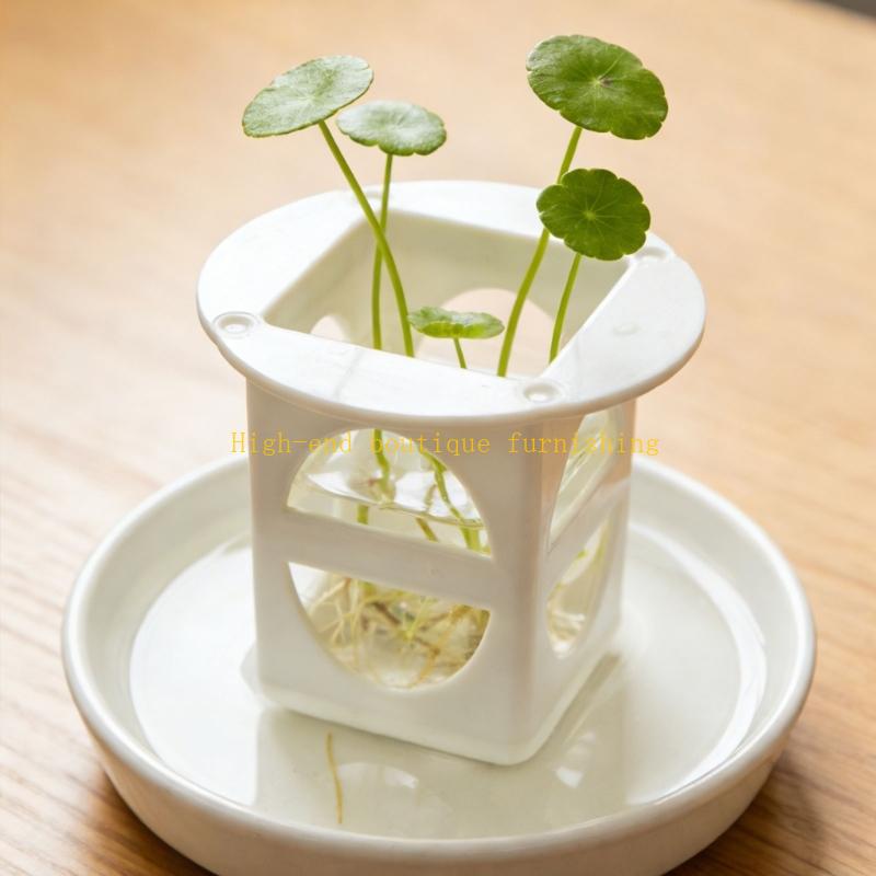L9NB 12lots Professional Seedl - Propagation Tray Dome review and price