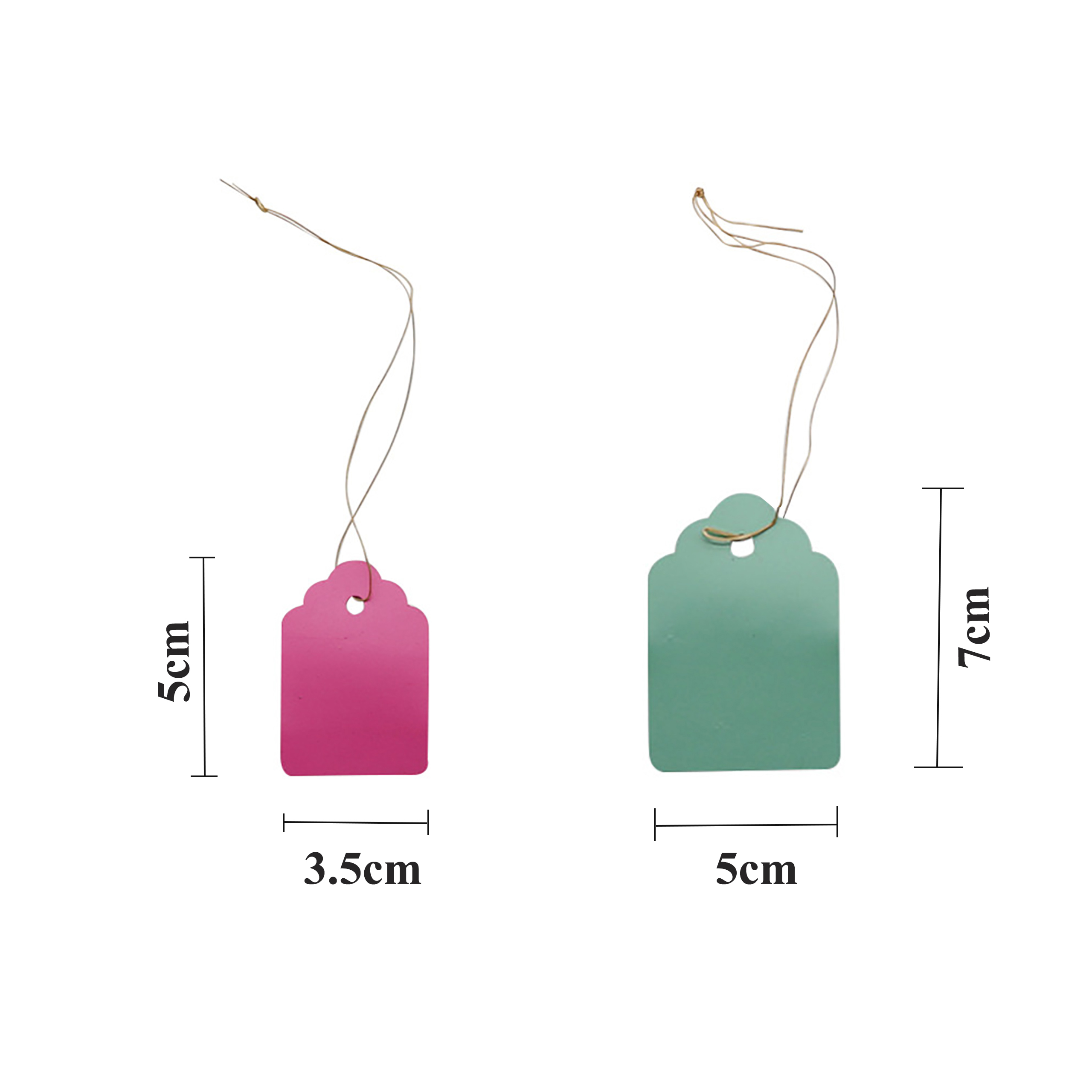 100Pcs/Lot Plants Hanging Plan - Gardening Tools Labeled review and price