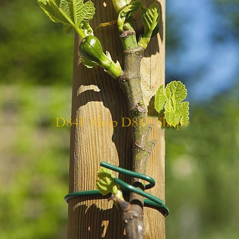 D84F Garden Wire Ties Plant Wi - Garden Wire Twist Tie review and price