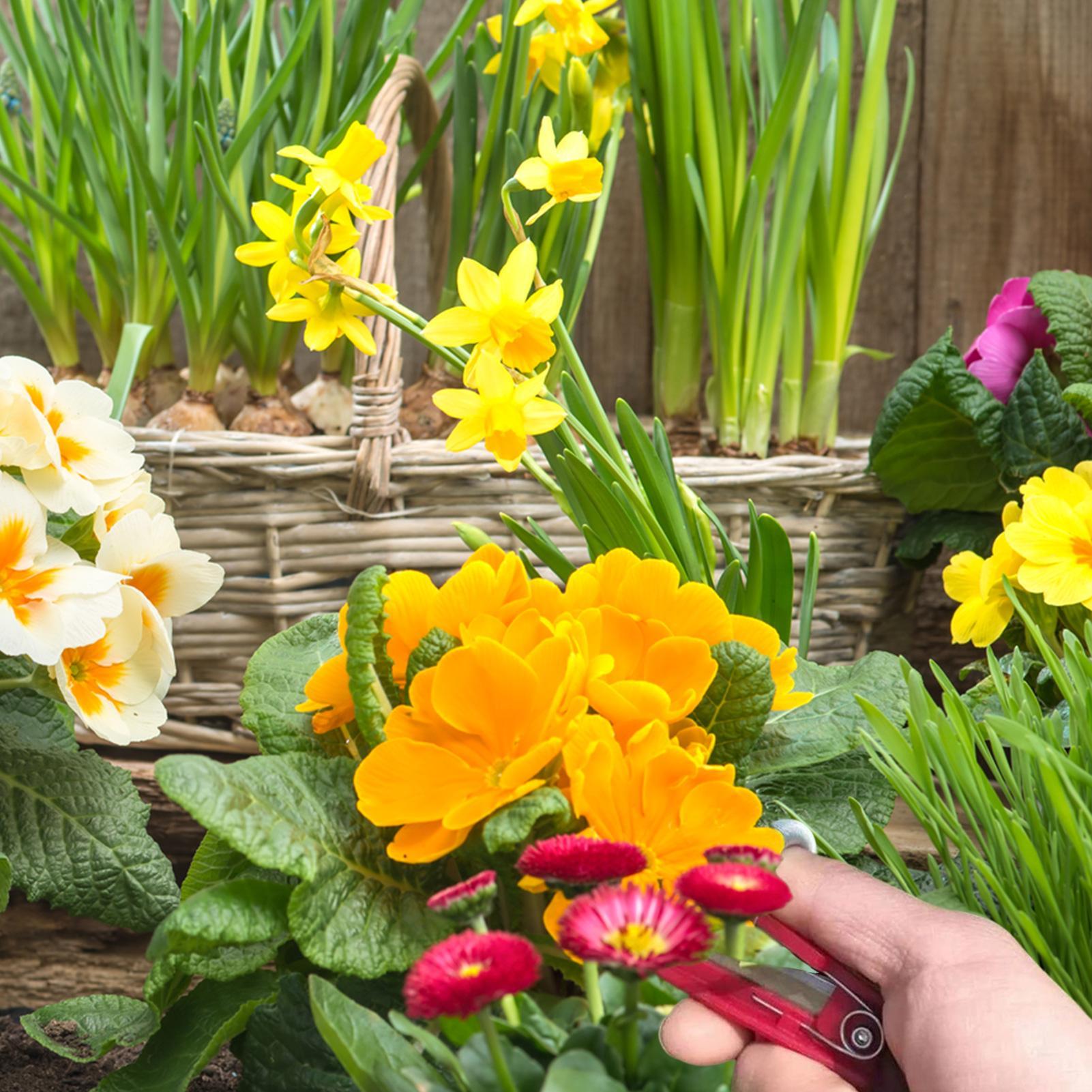 Multifunction Thumb Knife Gard - Harvest Knife Garden review and price