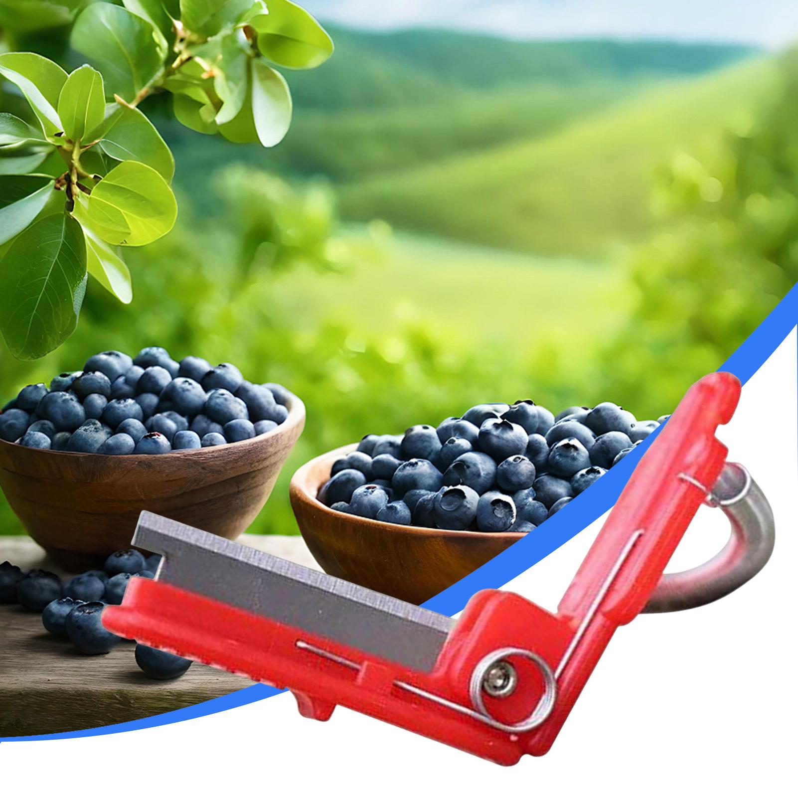 Multifunction Thumb Knife Gard - Harvest Knife Garden review and price