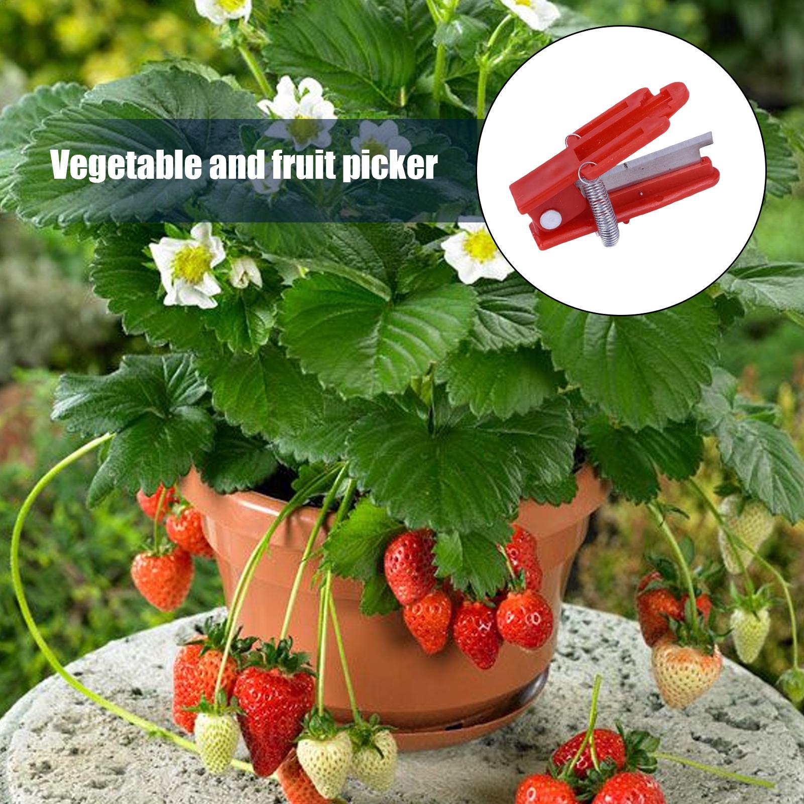 Multifunction Thumb Knife Gard - Harvest Knife Garden review and price