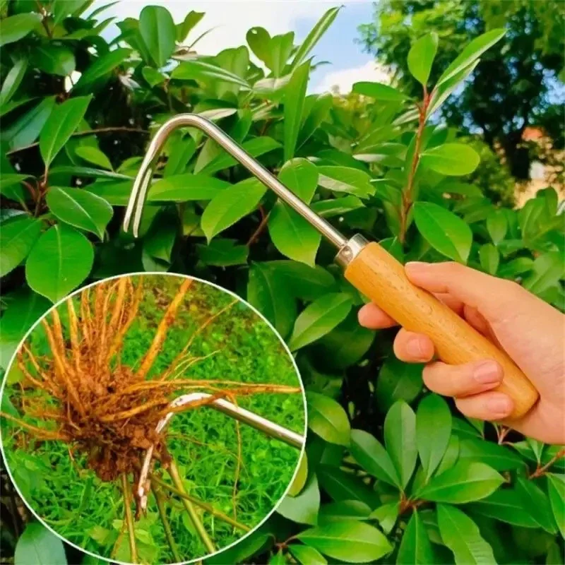 Stainless Steel Gardening Weed - Weed Puller review and price