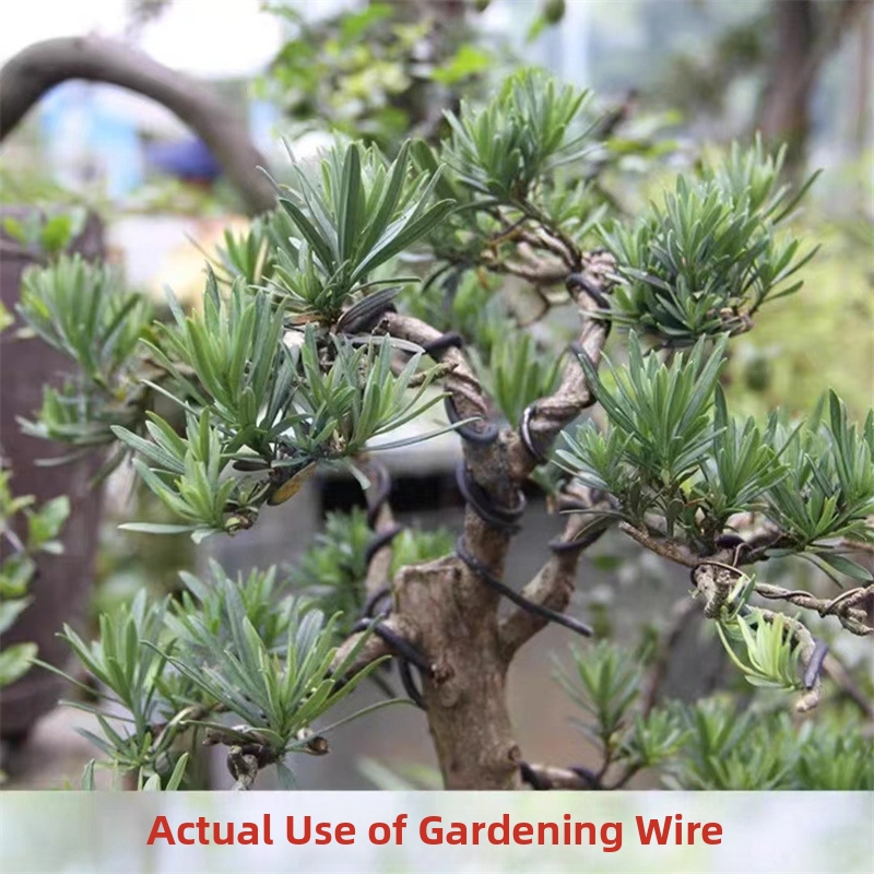 1.5MM Bonsai Wires Aluminum Bo - Gardening Tools For Home review and price